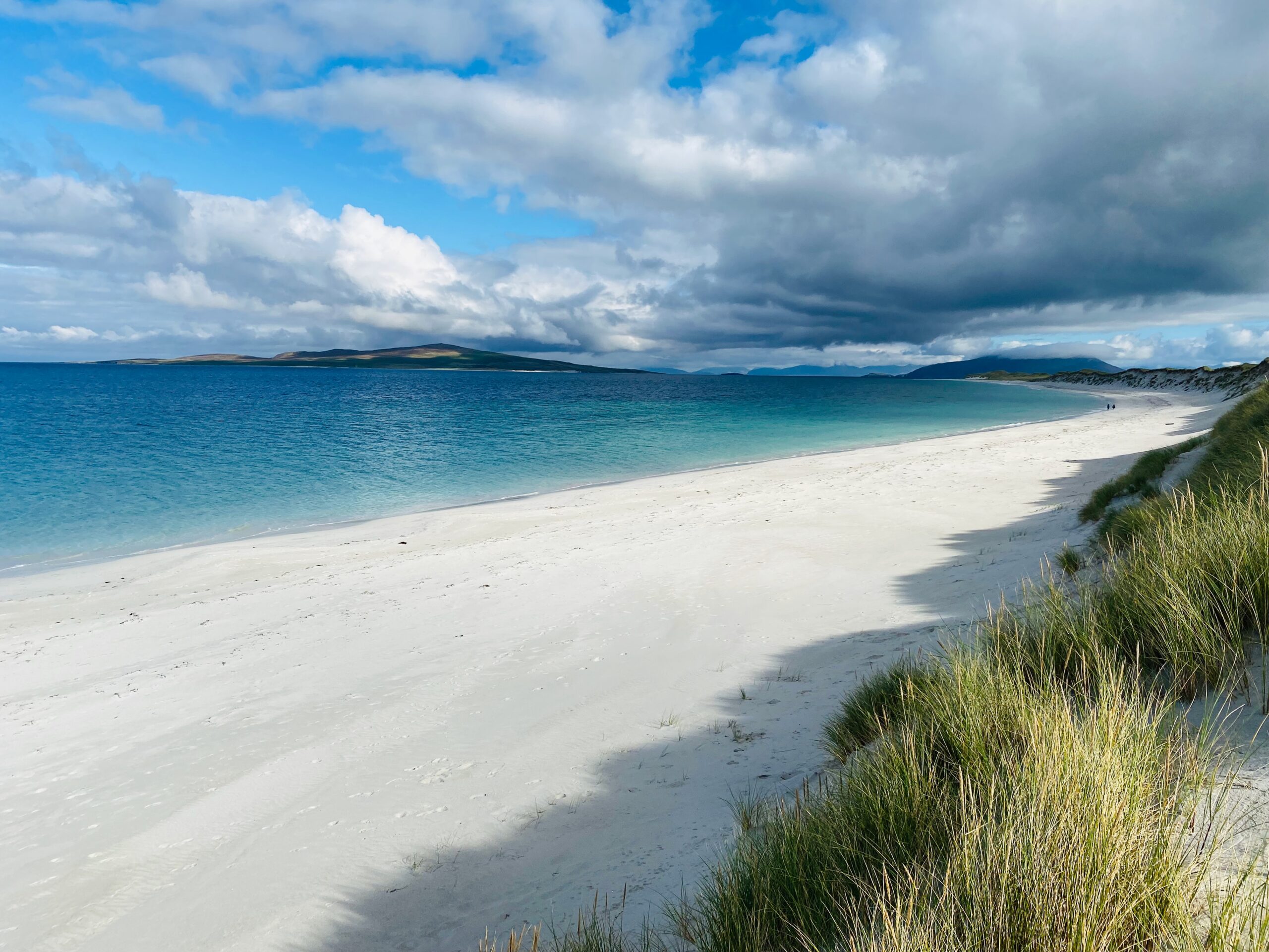 Home - Scottish Beach Project