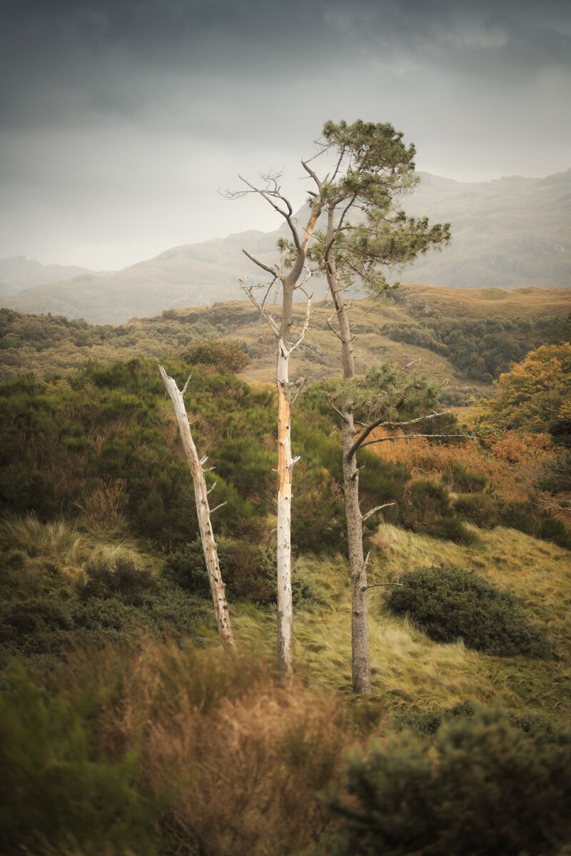 Image for the Tweet beginning: Camusdarach, Arisaig #Scotland #Arisaig #Camusdarach
